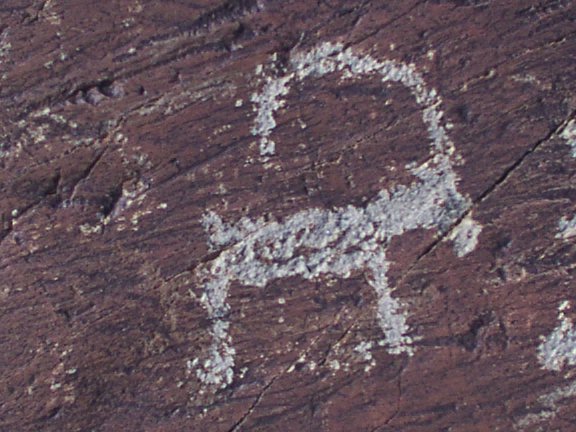 ibex image, prehistoric rock art, Mongolia