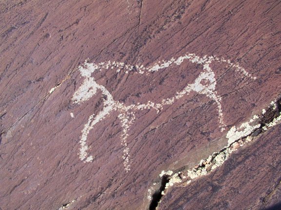 prehistoric horse image, petroglyphs, Mongolia