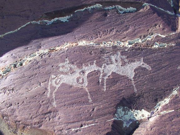 horses and riders, Mongolia, ancient rock art