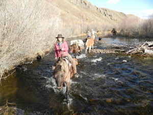 Guest's perspective of horseback riding Mongolia, autumn, Gorkhi-Terelj National Park, Mongolia