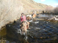 horseback riding in autumn, Gorkhi-Terelj National Park in Mongolia