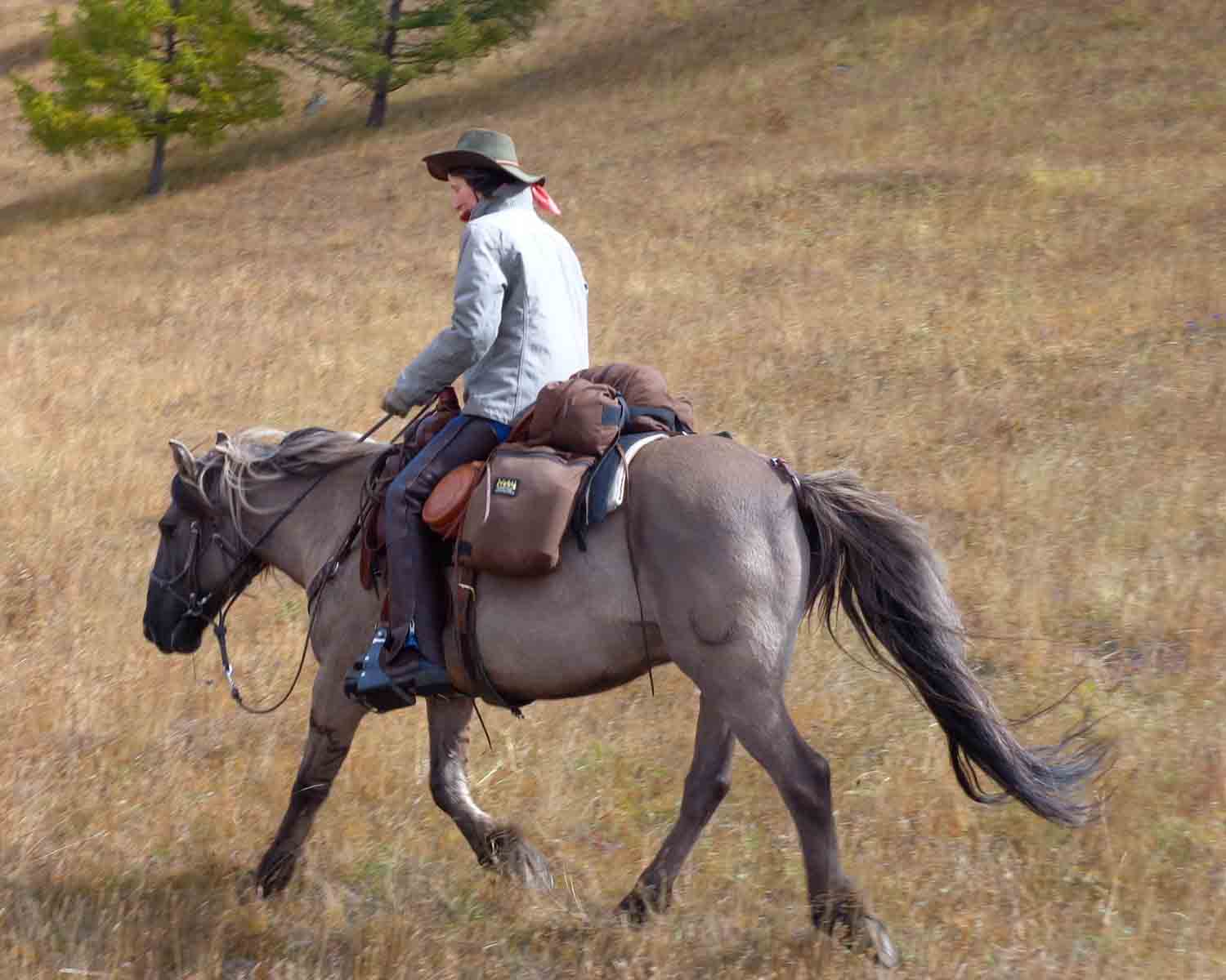 Horse and Rider of Stone Horse Expeditions & Travel while Autumn Riding in Mongolia