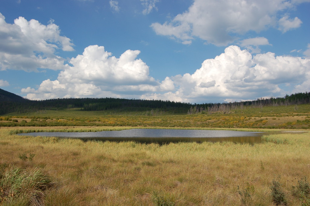 Mongolia horseback riding, ecotourism, horse riding in Mongolia