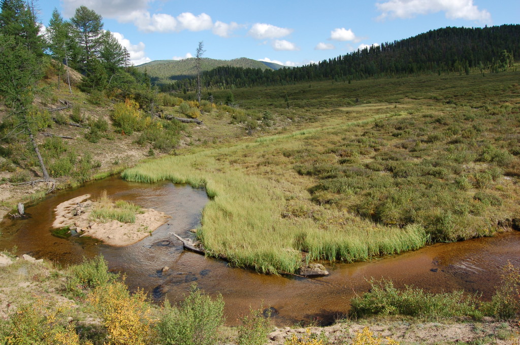 Ecotourism, horseback riding in Mongolia