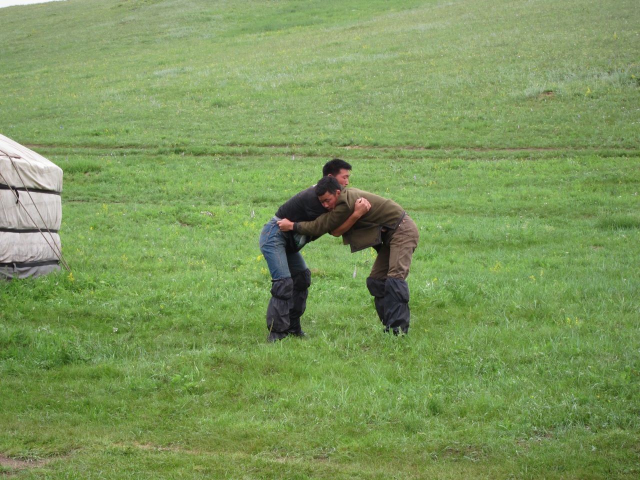 Mongolian wrestling, Gorkhi-terelj NP
