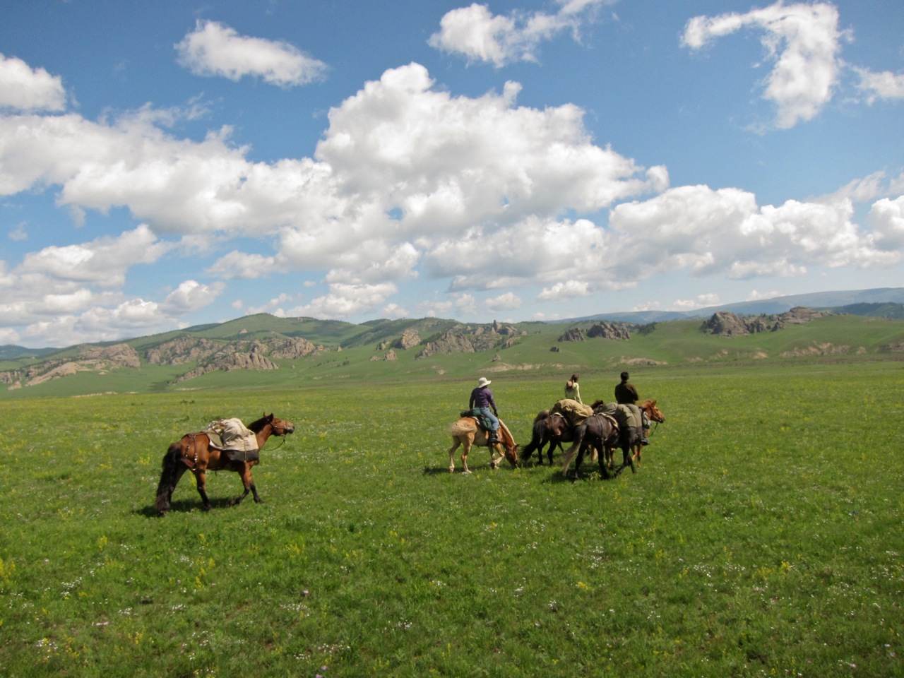 Pack horses in Mongolia, Gorkhi-Terelj National Park
