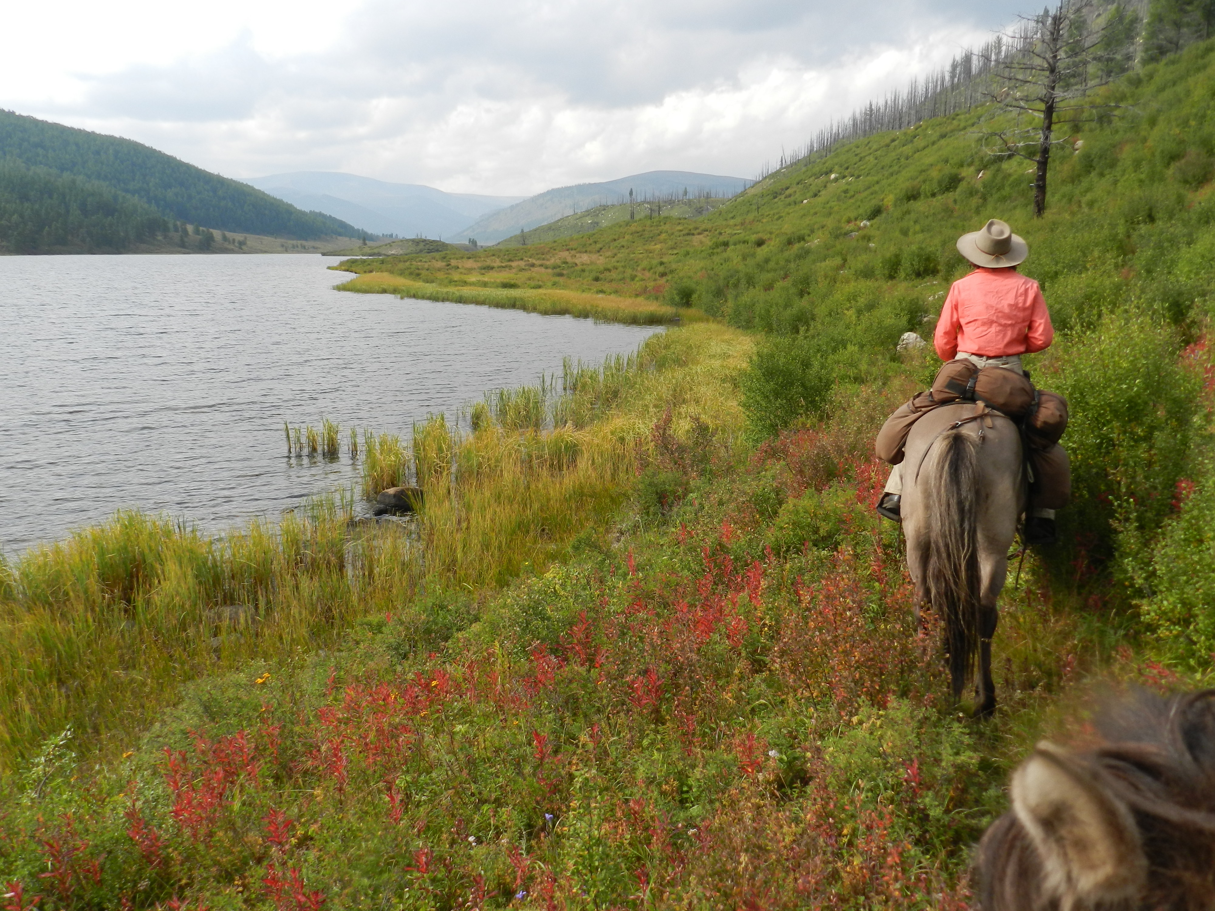 Khentii Mountains, Horse riding in Mongolia, wilderness expedition