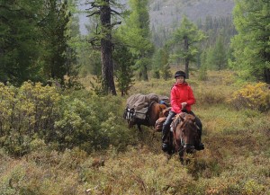 Mongolia Horse Riding Experiences - Forest Riding with Stone Horse Expeditions
