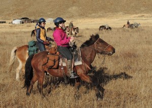 Mongolia Horse Riding Experiences - Autumn Riding and Viewing Mongolian Horses in the park