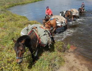 Riding Horse Trails in Mongolia, Mongolia horse trek, Stone Horse Expeditions