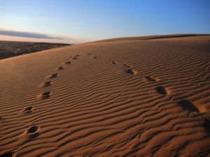 sand dune, Gobi desert, Mongolia