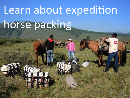 Horse pack trip Mongolia, horse trekking_1