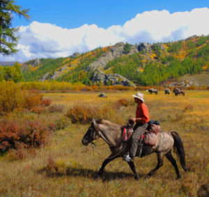 horseback riding in Mongolia