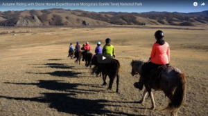 Horse Trekking in Autumn in Mongolia