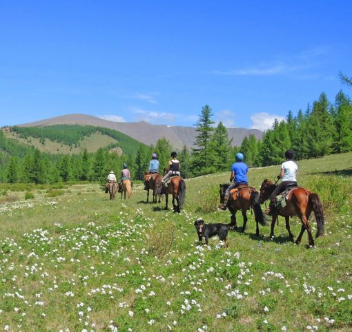 Gorkhi Terelj National Park Horse Riding, Mongolia