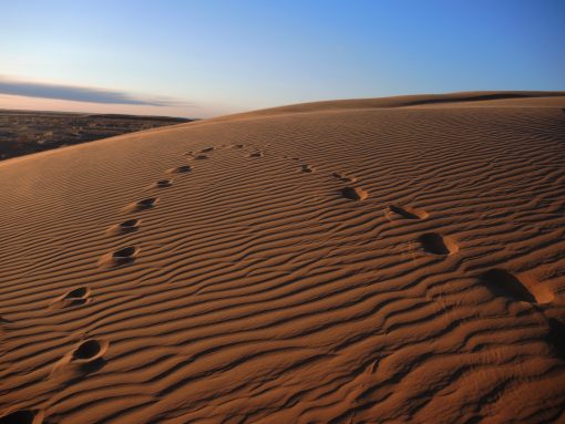 Sand dunes, gobi desert, Moltsog Els, Mongolia
