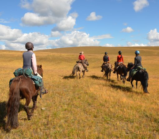 horseback riding in Mongolia, open grasslands and blue sky