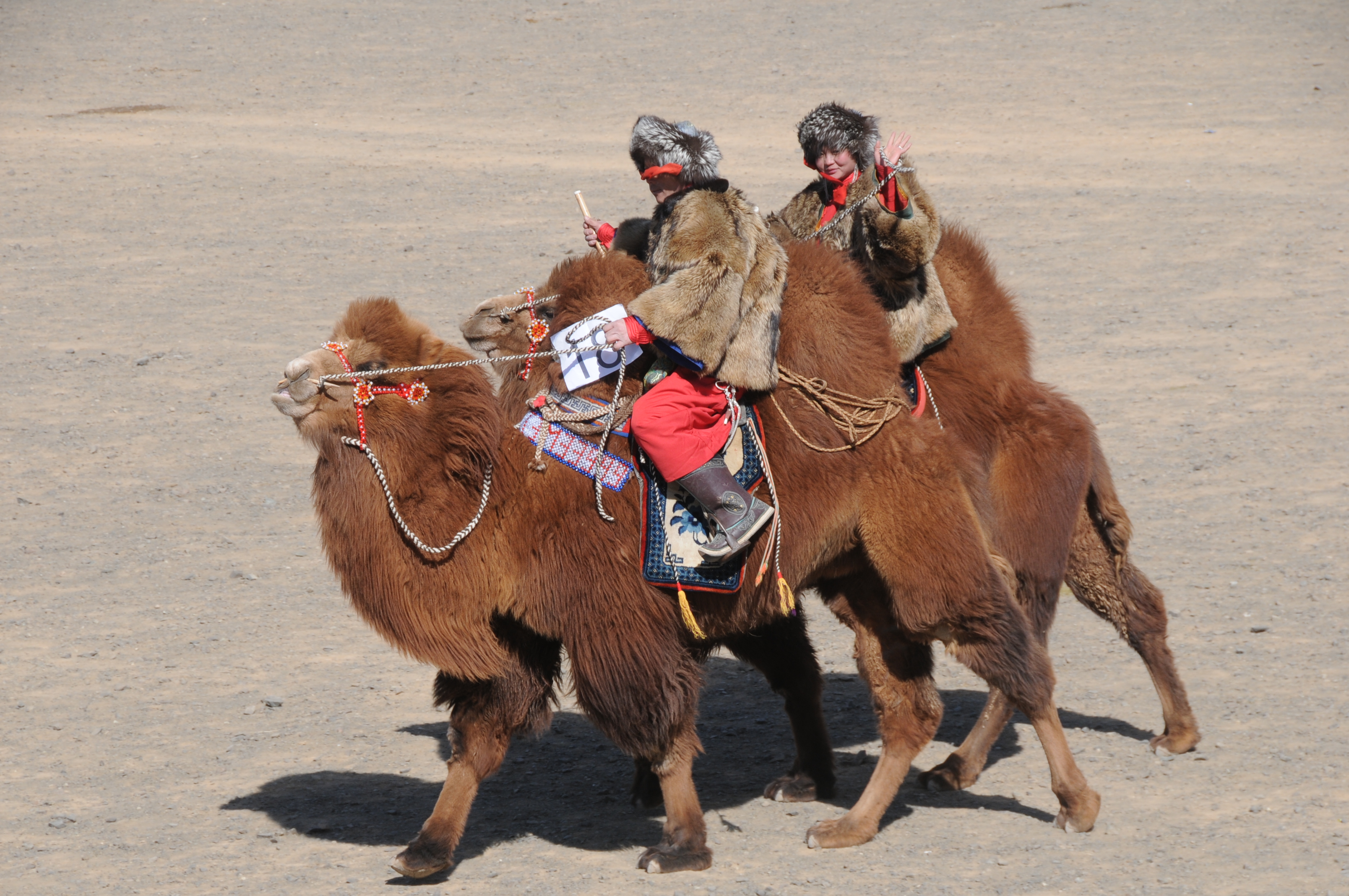 Gobi Desert Tour