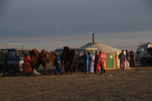 Camel Festival in Mongolia's Gobi