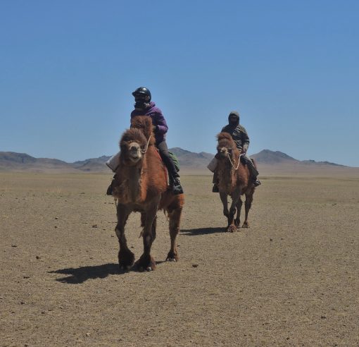 Winter Camel Trekking in the Gobi