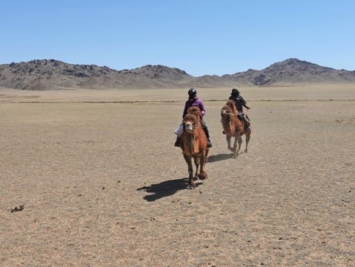 Winter Camel Trekking in the Gobi, Stone Horse Expeditions, Mongolia