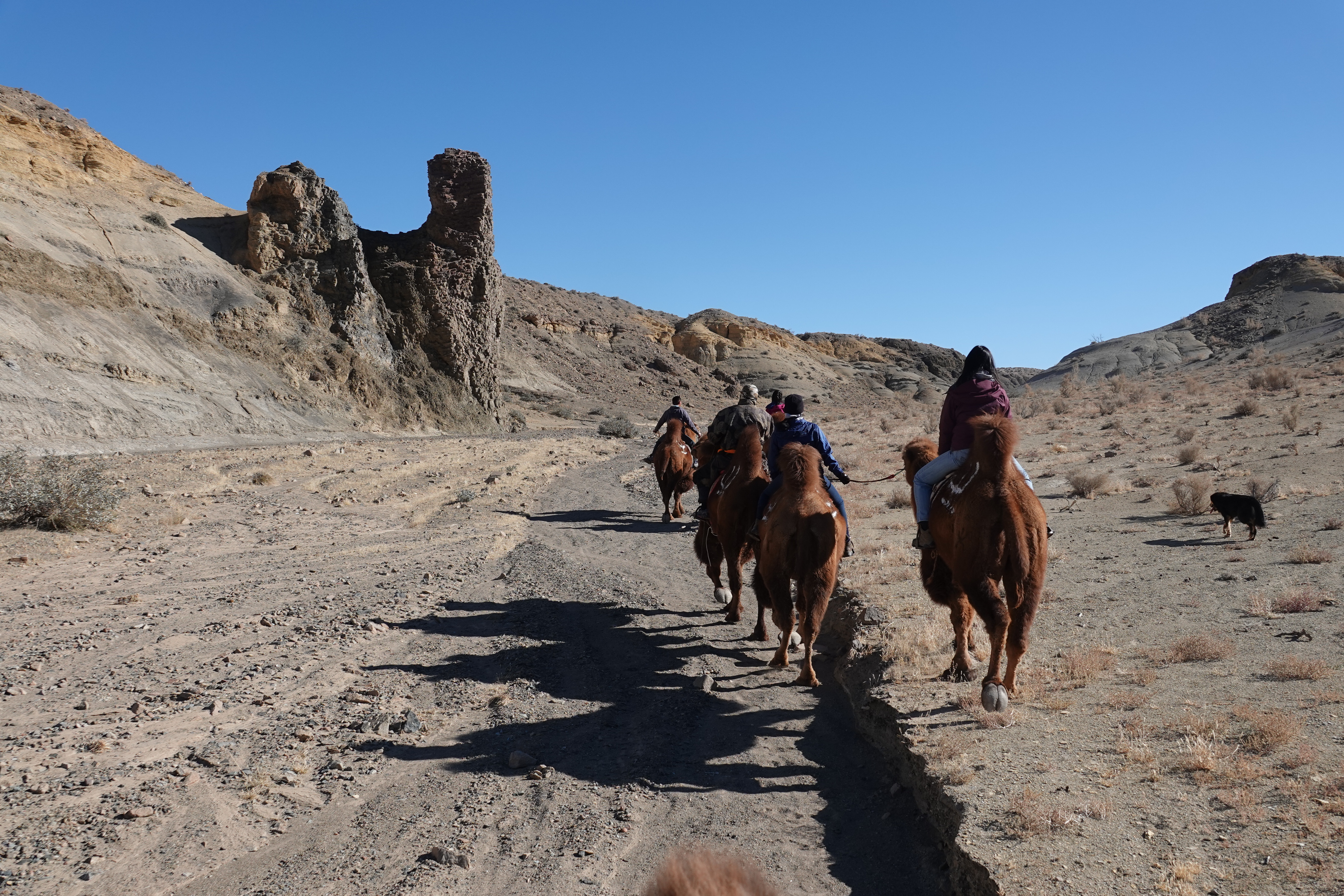 Slow Travel in Mongolia, Camel Riding in the Gobi, Stone Horse Expeditions