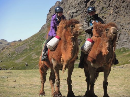 Winter Camel Trekking in the Gobi, Stone Horse Expeditions, Mongolia