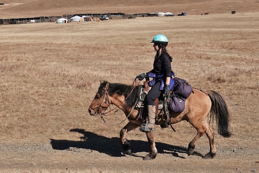 Saddles for Mongolian Trail Horses