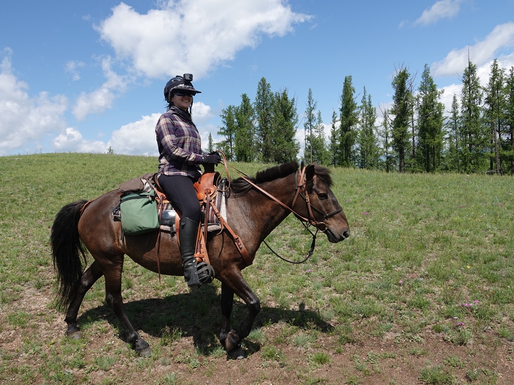 Stone Horse Saddle for Horse Trek in Mongolia