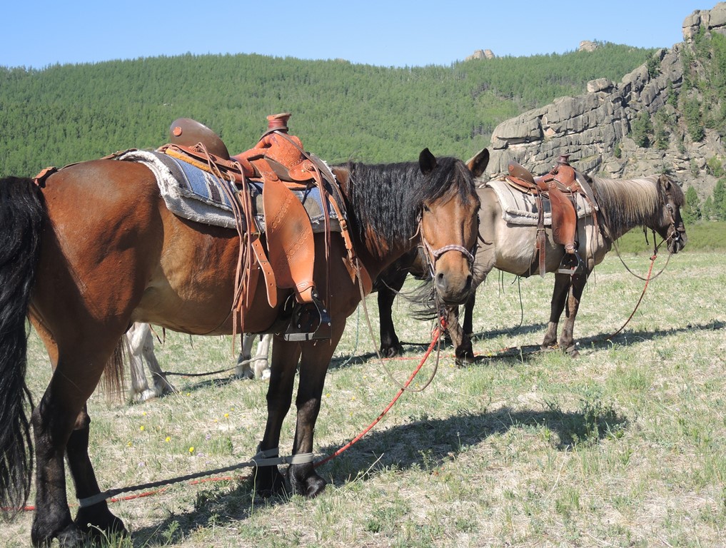 In the Saddle in Mongolia, Stone Horse Saddles, Expeditions on trails in Mongolia