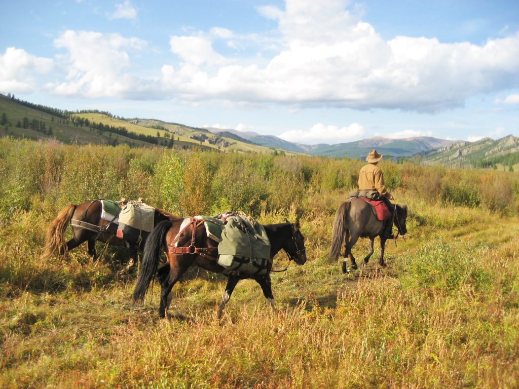 Saddles for Mongolian Trail Horses, Stone Horse Expeditions