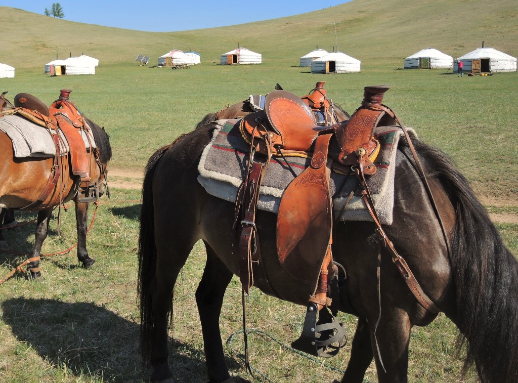 Saddles for Mongolian Trail Horses