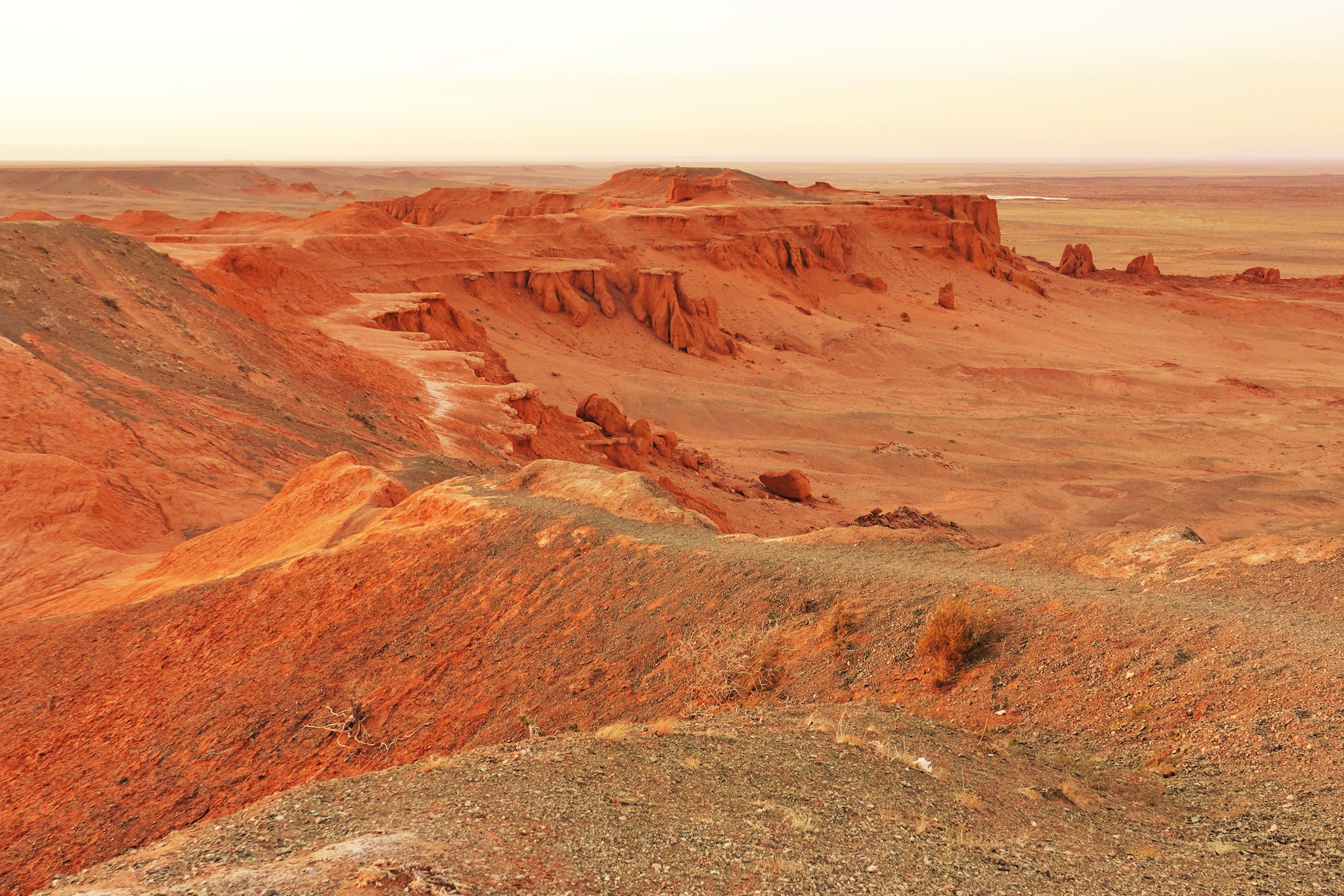 At the Flaming Cliffs in Mongolia's Gobi