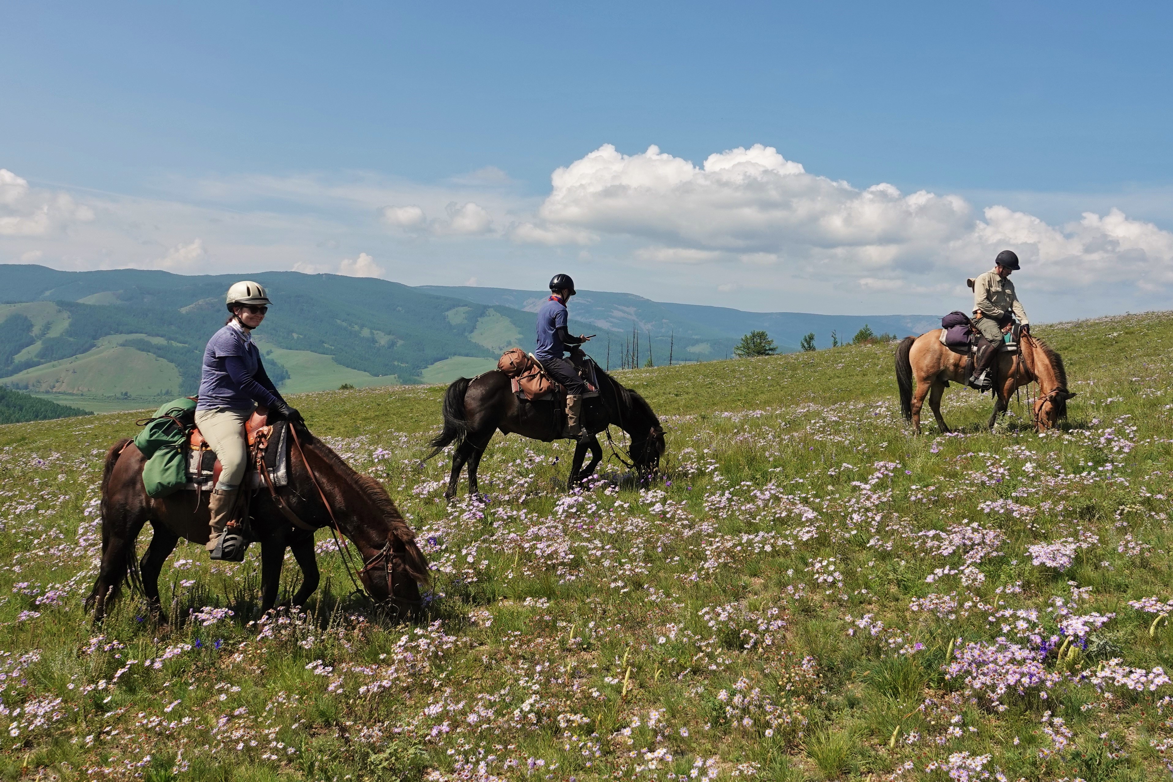 Horses, the Dawn of Arts and Forgotten Dreams, Horseback Travel in Mongolia
