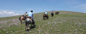 The Beauty that is Mongolia - A Riding Guest speaks of the Once in a Life Time Opportunity