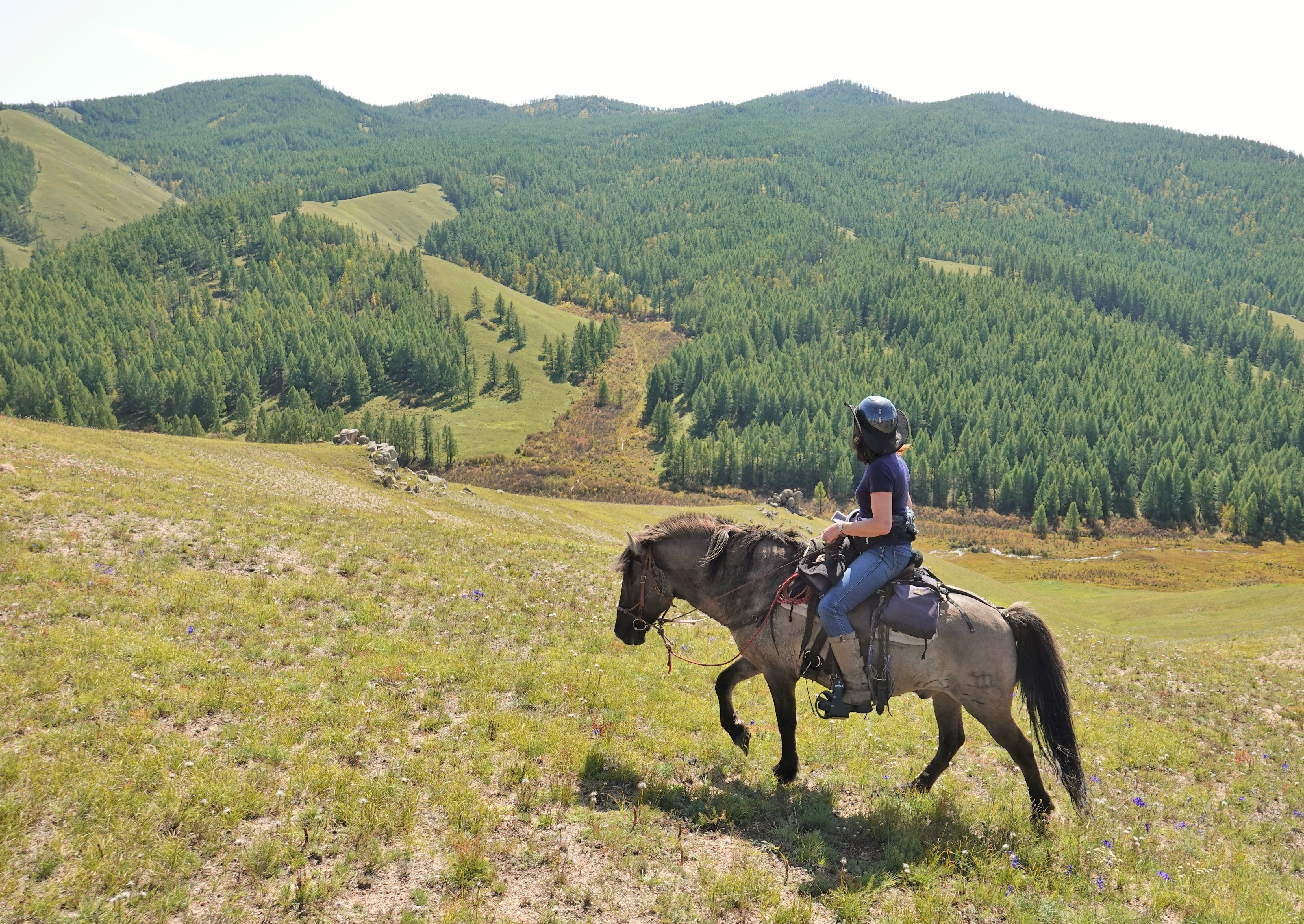 Horses, the Dawn of Arts and Forgotten Dreams, Horseback Journeys in Mongolia, Riding Horses in Mongolia