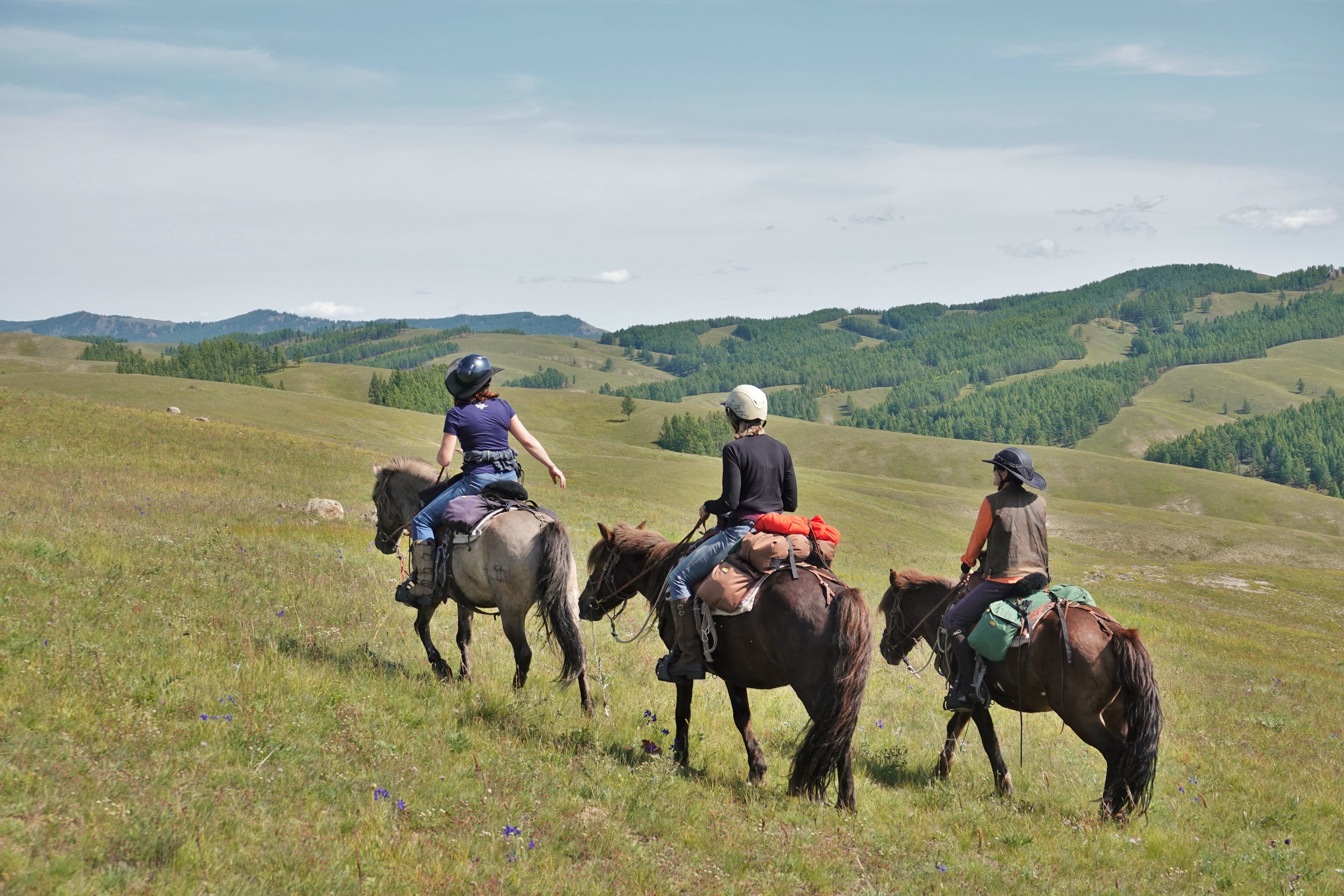 Trail Riding Mongolia, Horse and Rider Communication, Stone Horse Expeditions