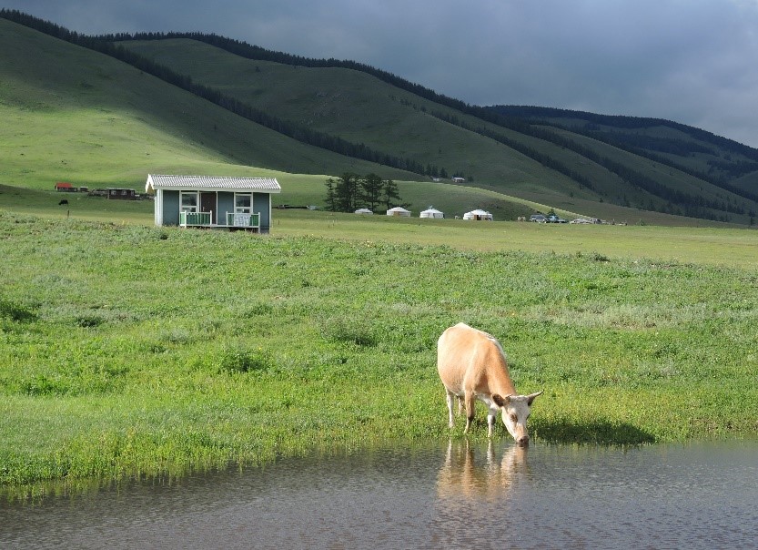 Mongolia Horse Riding Tours Support Conservation and Community