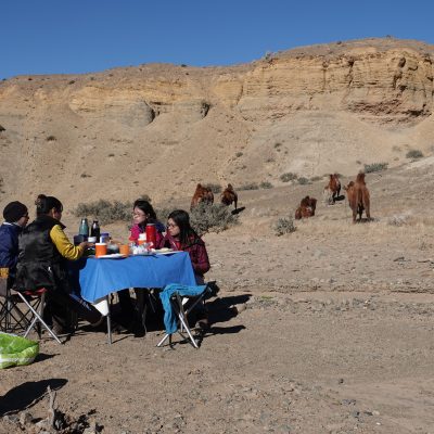 Gobi Crossing, Camel trekking, picnic with Stonehorse Expeditions