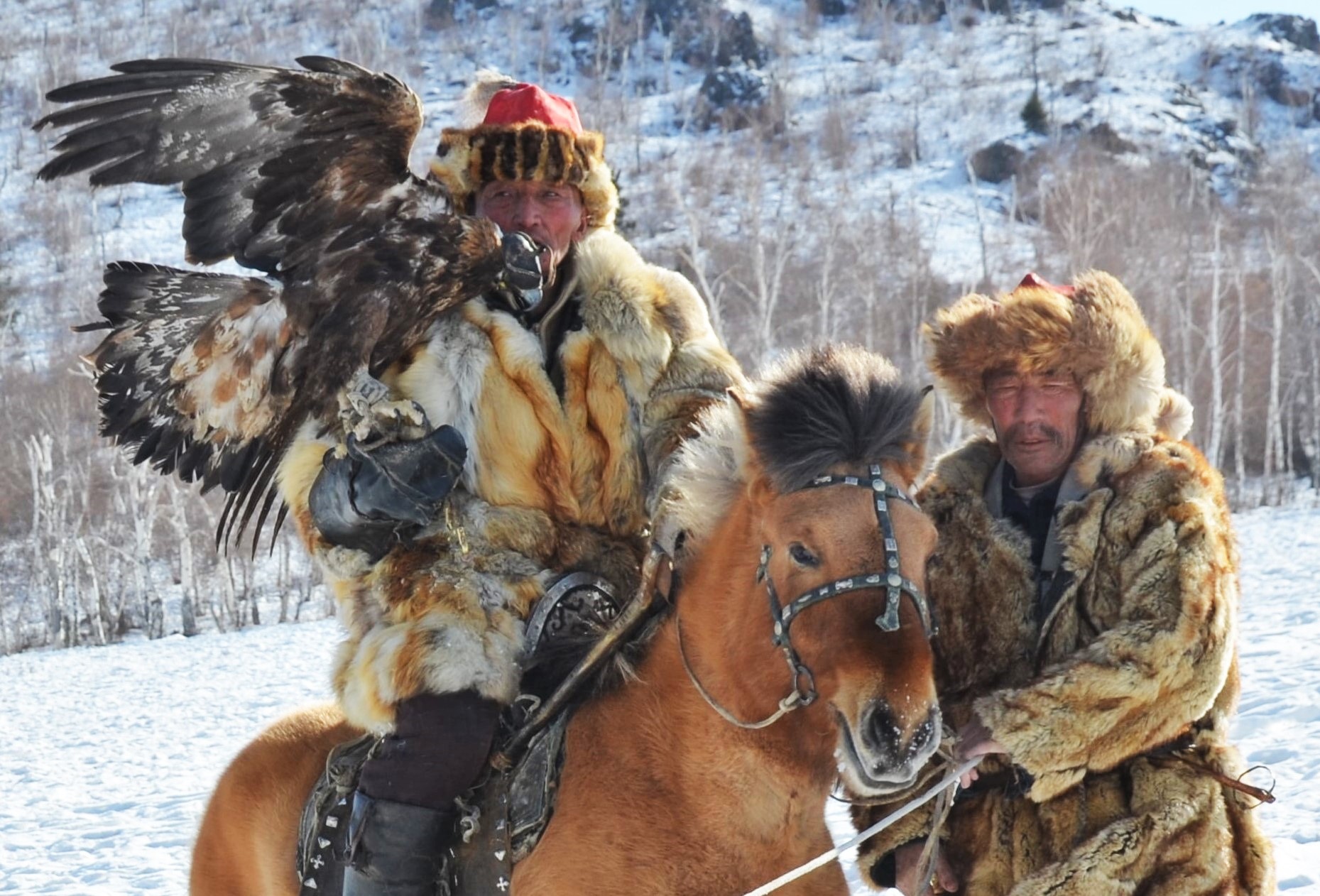 Festivals in Mongolia - Celebrations of Nomadic Traditions, Golden Eagle Winter Festival, Ulaanbaatar