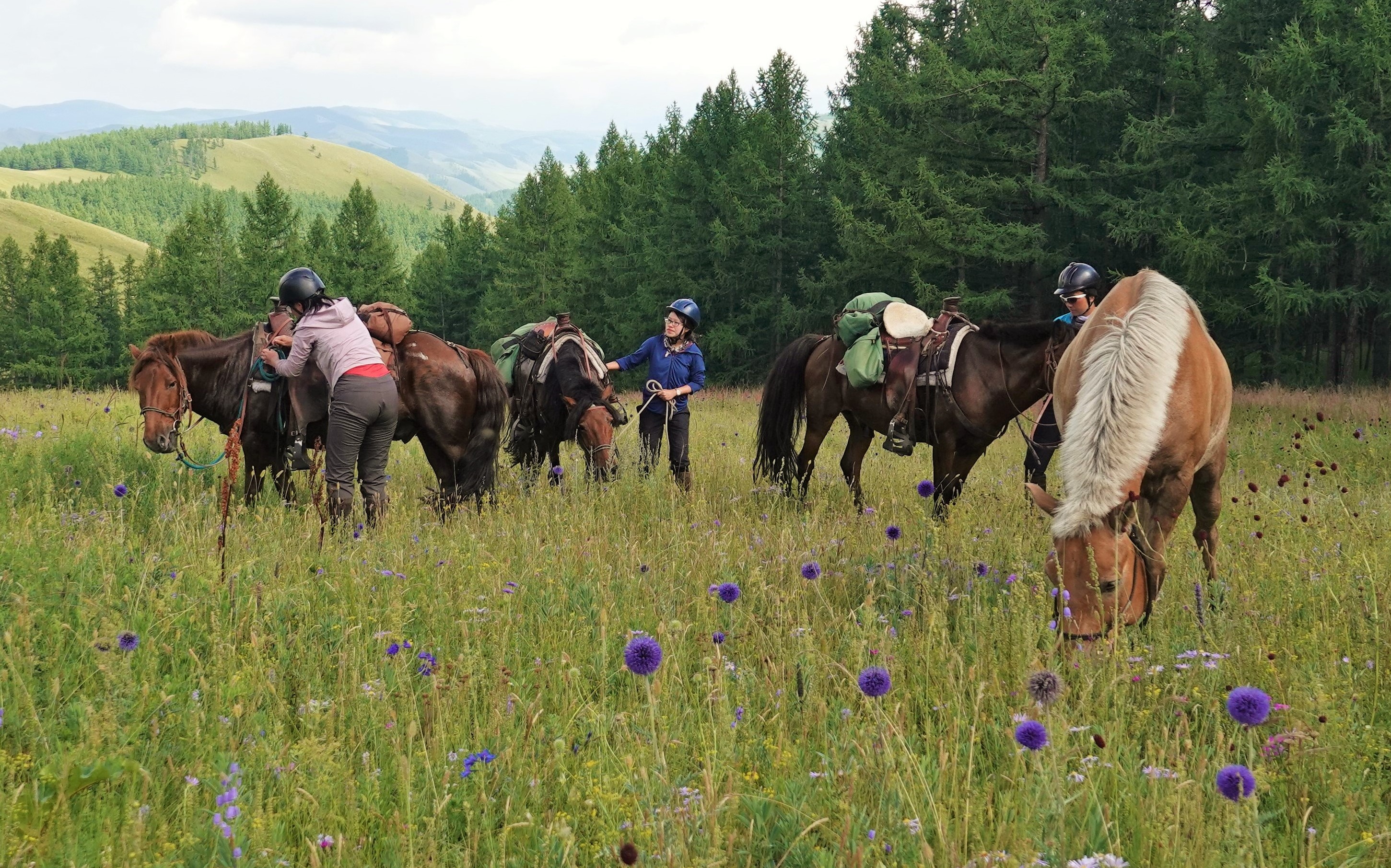 Horse Riding Mongolia – One Day Trail Rides, Stone Horse Mongolia