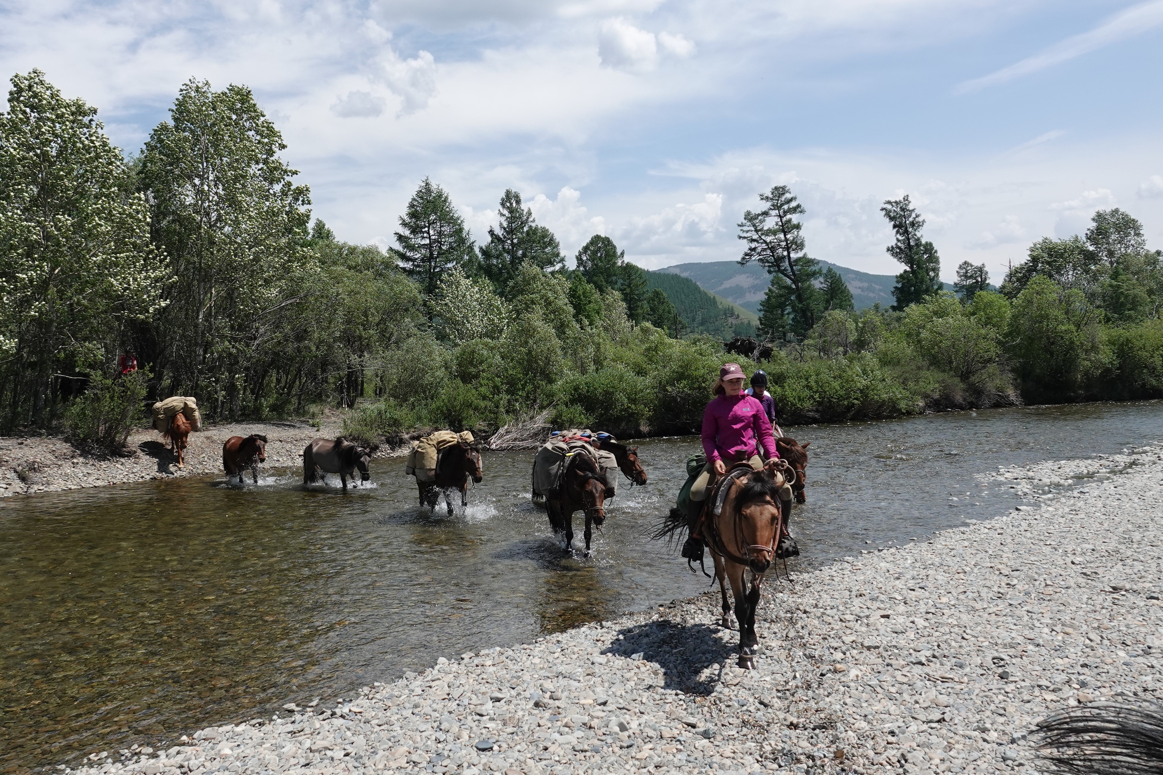 Mongolia Covid-19 Information, Stone Horse Expeditions, Horseback Treks 2020, 2021