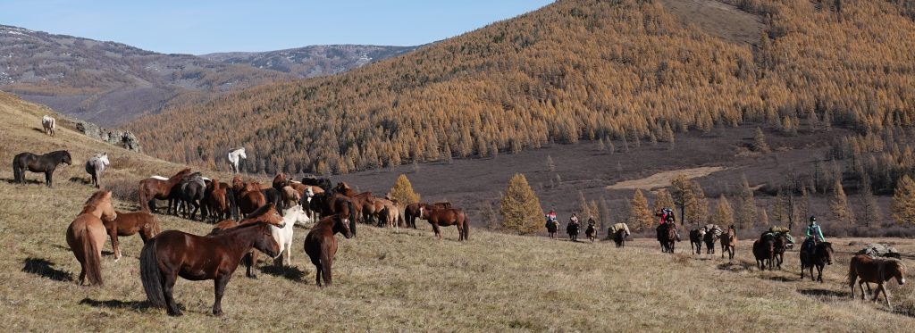 Horse Trek Tours Mongolia 2022, Stone Horse Expeditions