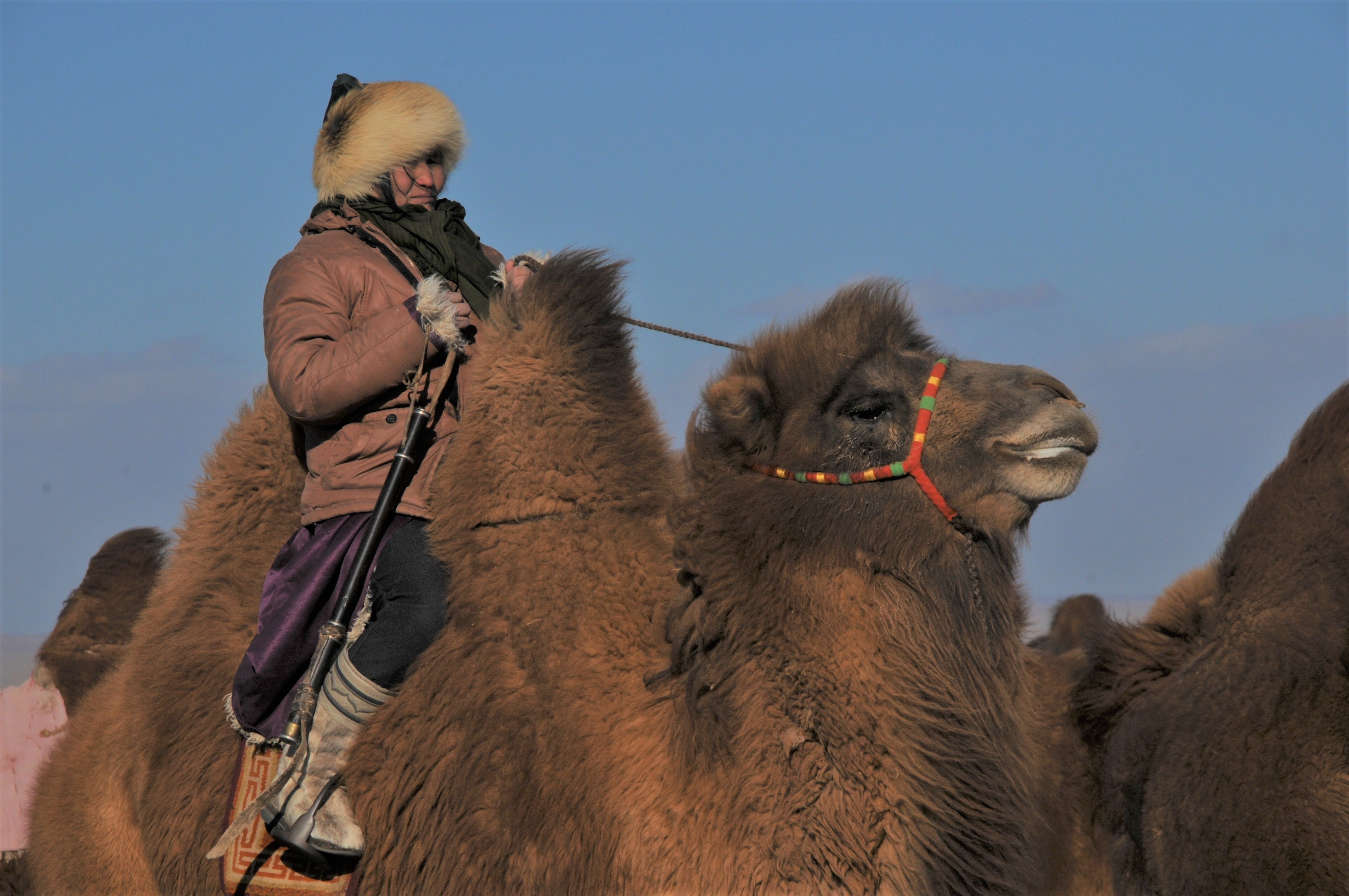 2022 Mongolia Gobi Desert Tours, Stone Horse Expeditions