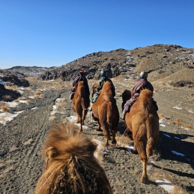 Autumn Gobi Camel Trek