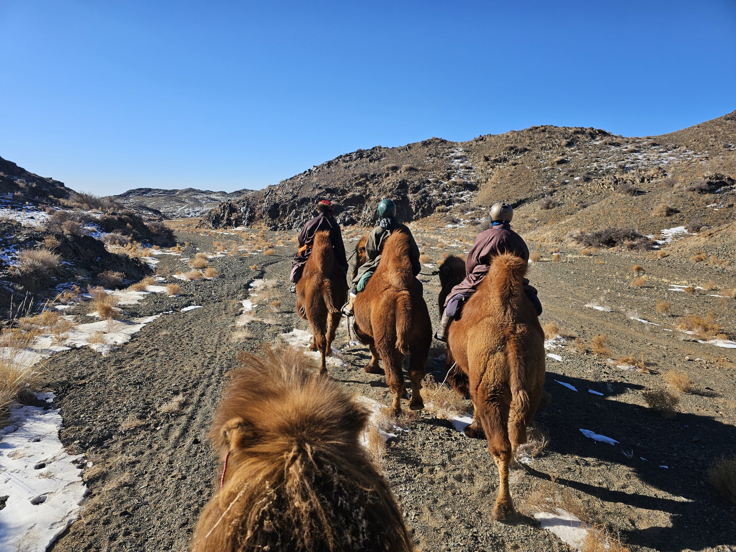 Autumn Gobi Camel Trek