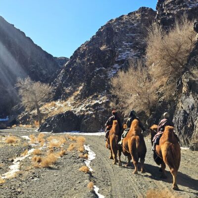 Autumn Gobi Camel Trek