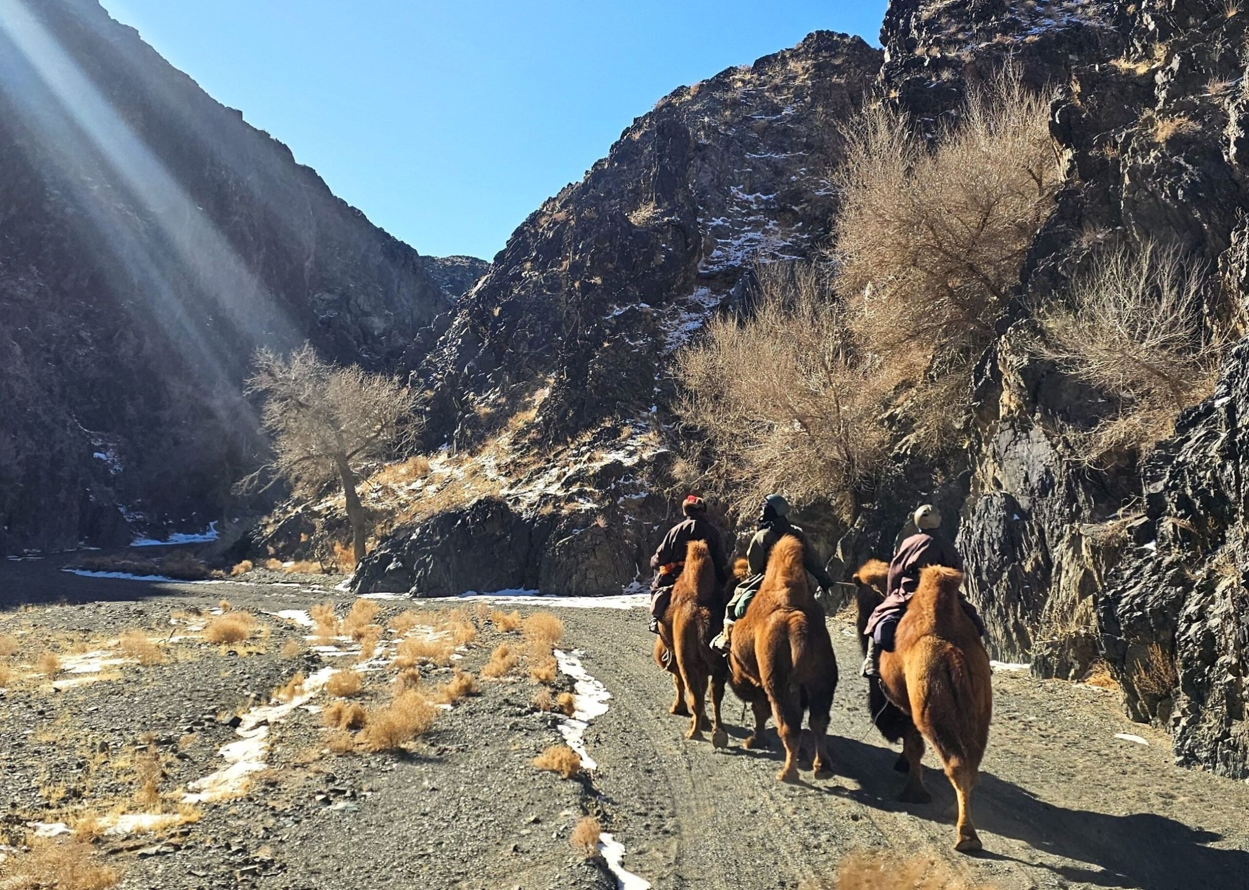 Autumn Gobi Camel Trek