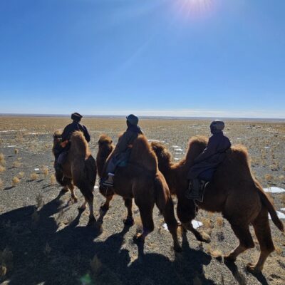 Autumn Gobi Camel Trek