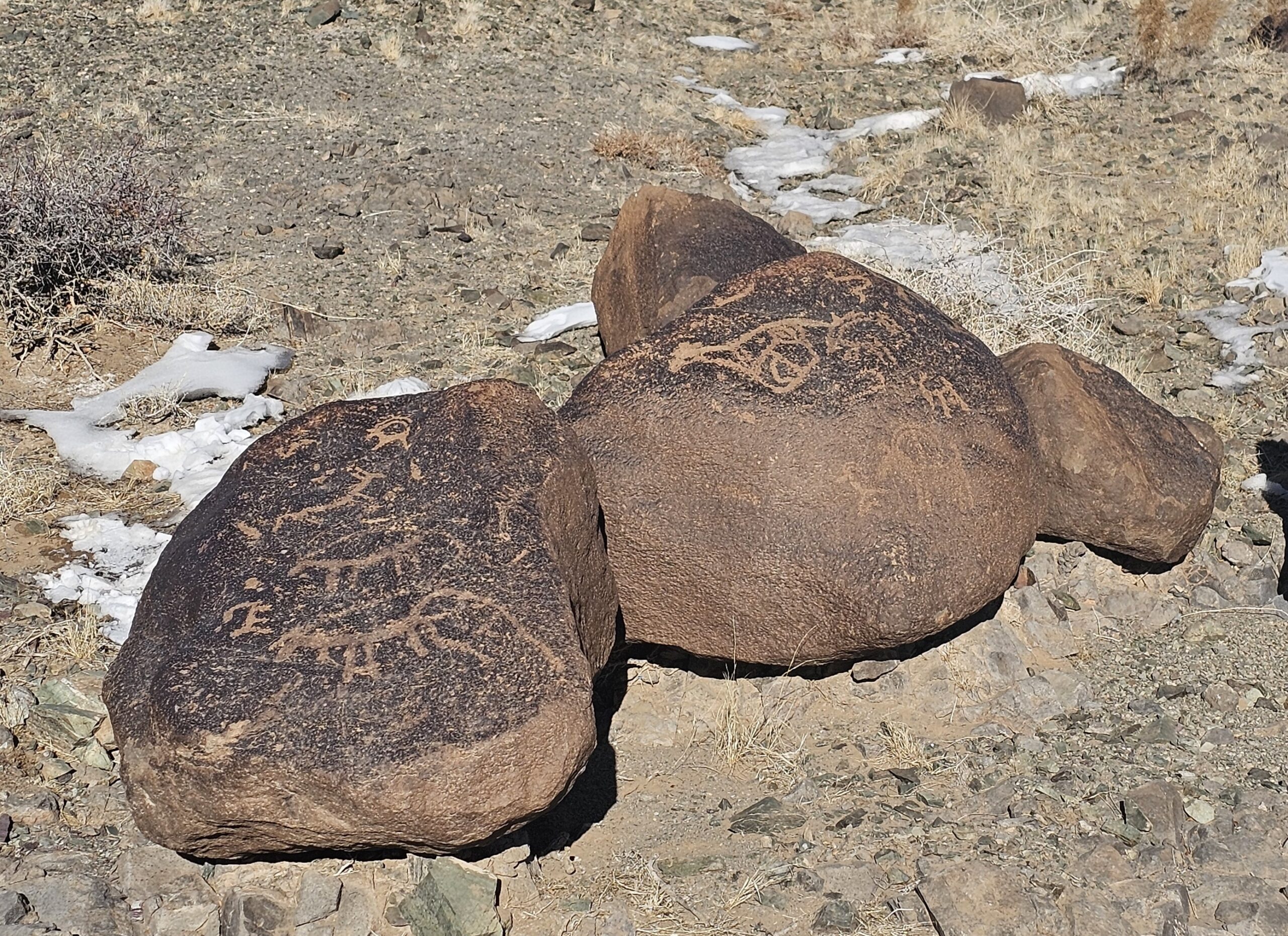 Autumn Gobi Camel Trek